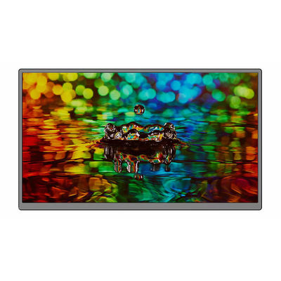 15.6 Inch Portable Touch Monitor Plastic Shell 1920x1080 IPS