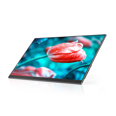 60Hz 17.3 Inch Portable LED Monitors FHD 1080P Computer Display HDR